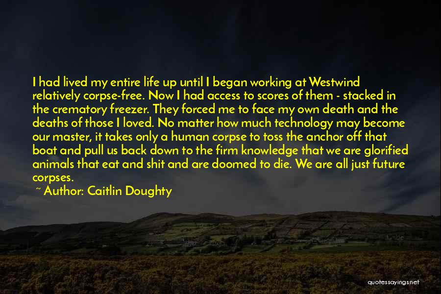 Caitlin Doughty Quotes: I Had Lived My Entire Life Up Until I Began Working At Westwind Relatively Corpse-free. Now I Had Access To