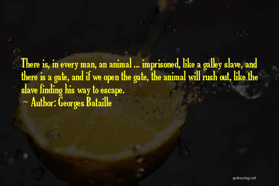 Georges Bataille Quotes: There Is, In Every Man, An Animal ... Imprisoned, Like A Galley Slave, And There Is A Gate, And If