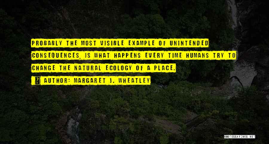 Margaret J. Wheatley Quotes: Probably The Most Visible Example Of Unintended Consequences, Is What Happens Every Time Humans Try To Change The Natural Ecology