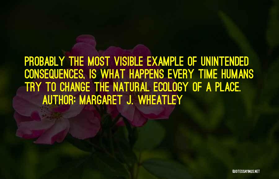 Margaret J. Wheatley Quotes: Probably The Most Visible Example Of Unintended Consequences, Is What Happens Every Time Humans Try To Change The Natural Ecology