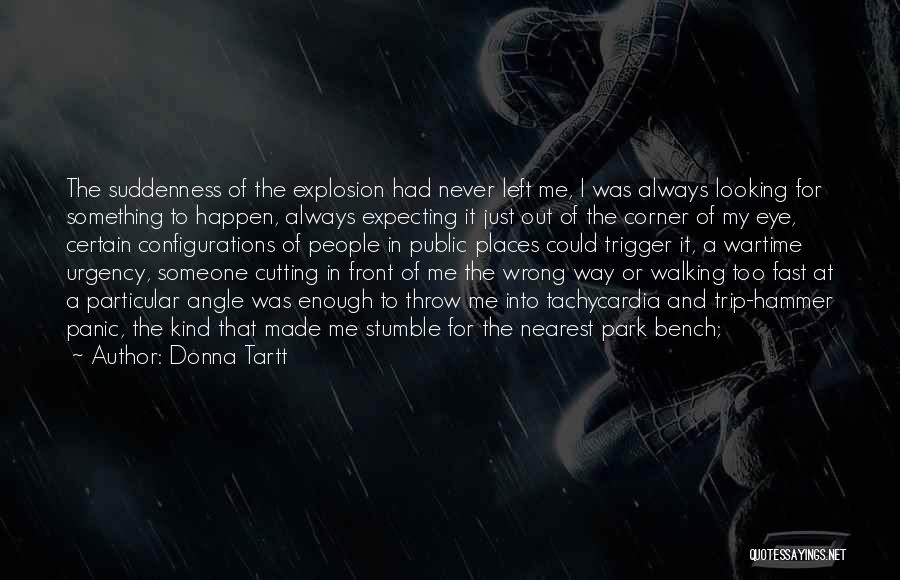 Donna Tartt Quotes: The Suddenness Of The Explosion Had Never Left Me, I Was Always Looking For Something To Happen, Always Expecting It