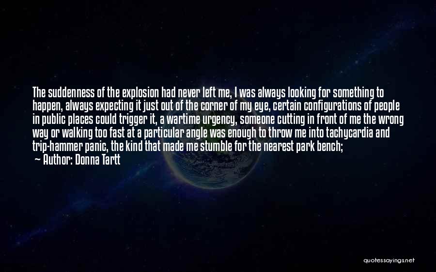 Donna Tartt Quotes: The Suddenness Of The Explosion Had Never Left Me, I Was Always Looking For Something To Happen, Always Expecting It