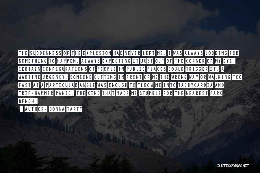 Donna Tartt Quotes: The Suddenness Of The Explosion Had Never Left Me, I Was Always Looking For Something To Happen, Always Expecting It