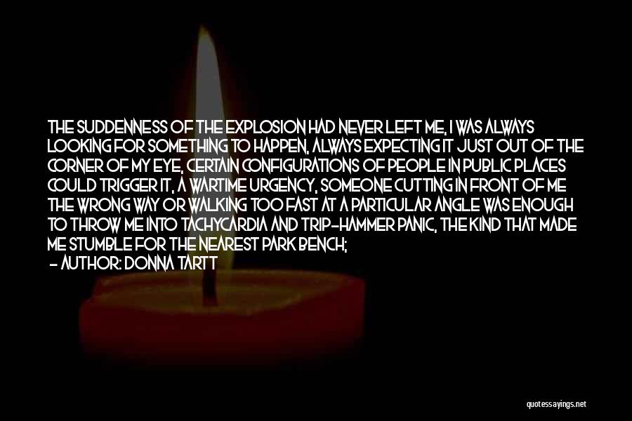 Donna Tartt Quotes: The Suddenness Of The Explosion Had Never Left Me, I Was Always Looking For Something To Happen, Always Expecting It