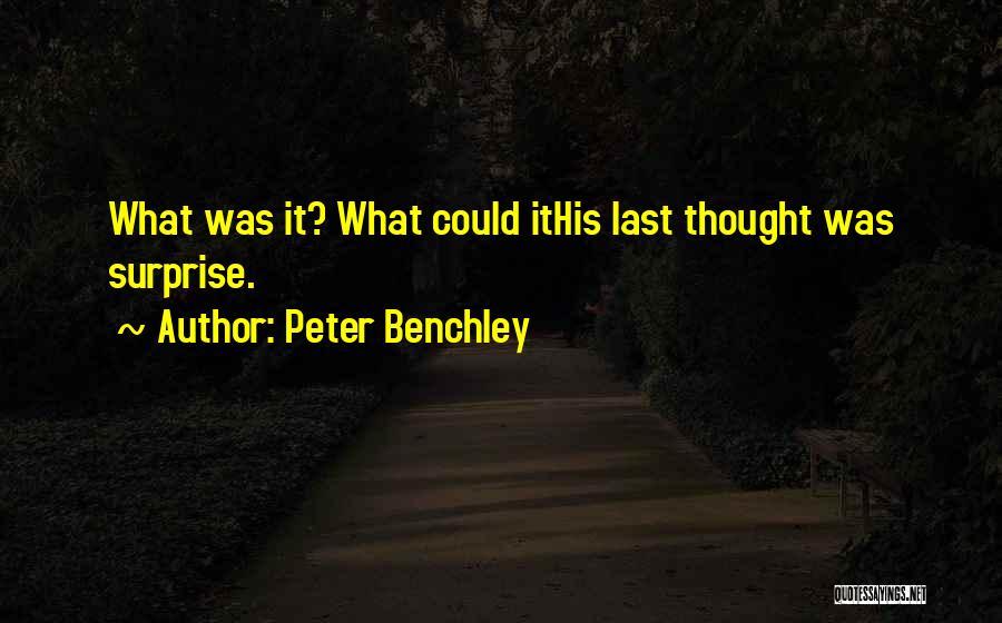 Peter Benchley Quotes: What Was It? What Could Ithis Last Thought Was Surprise.