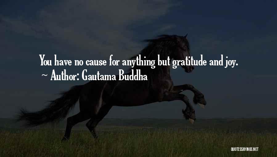 Gautama Buddha Quotes: You Have No Cause For Anything But Gratitude And Joy.