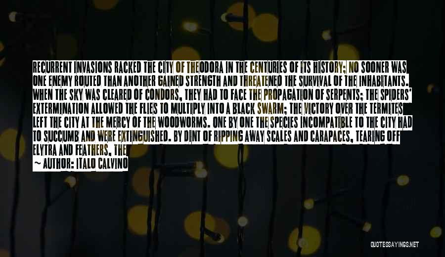 Italo Calvino Quotes: Recurrent Invasions Racked The City Of Theodora In The Centuries Of Its History; No Sooner Was One Enemy Routed Than