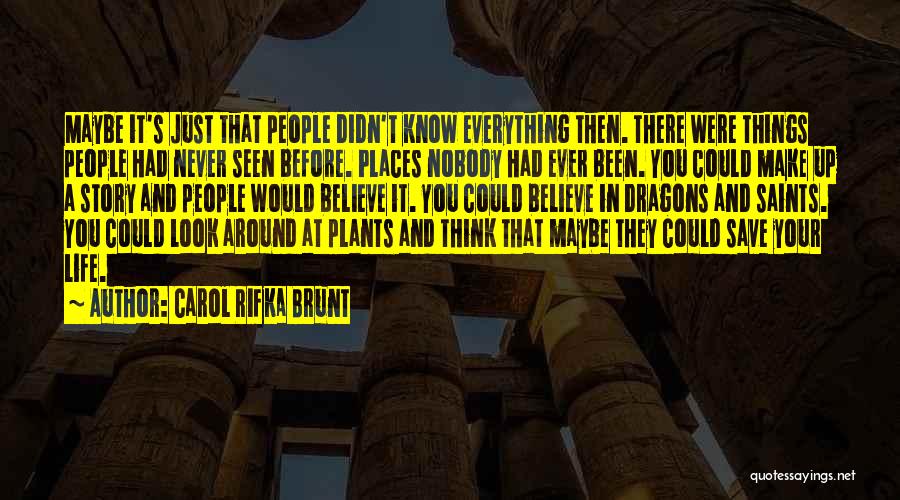 Carol Rifka Brunt Quotes: Maybe It's Just That People Didn't Know Everything Then. There Were Things People Had Never Seen Before. Places Nobody Had