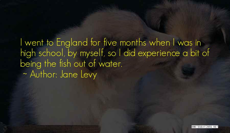 Jane Levy Quotes: I Went To England For Five Months When I Was In High School, By Myself, So I Did Experience A