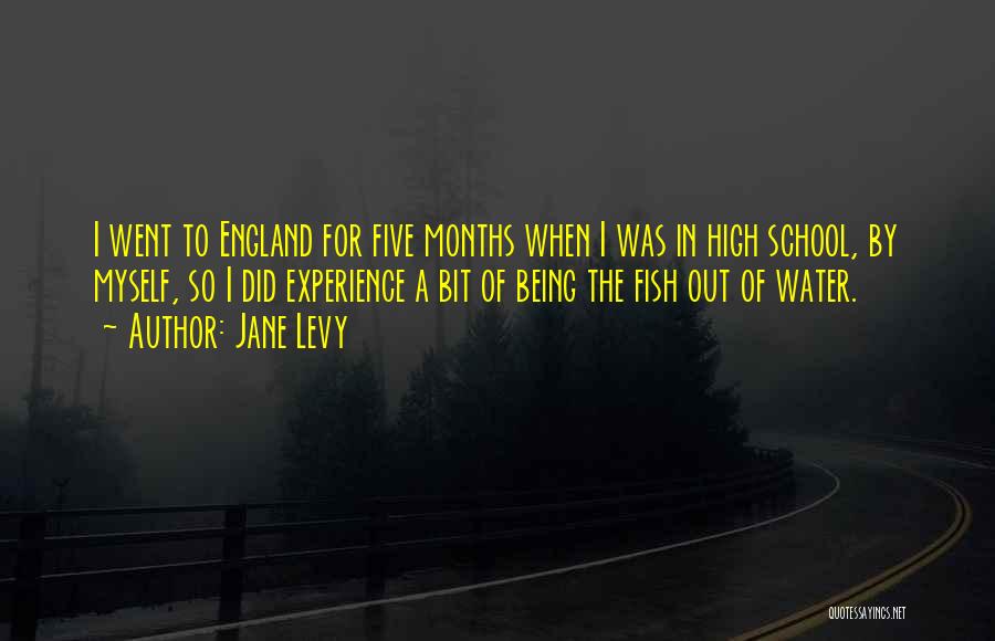 Jane Levy Quotes: I Went To England For Five Months When I Was In High School, By Myself, So I Did Experience A