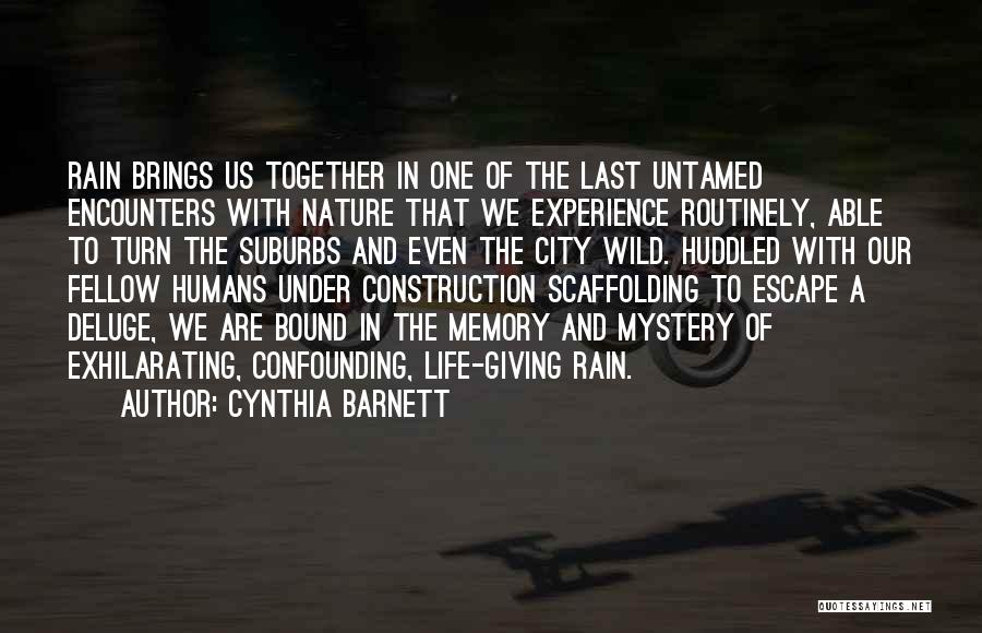 Cynthia Barnett Quotes: Rain Brings Us Together In One Of The Last Untamed Encounters With Nature That We Experience Routinely, Able To Turn