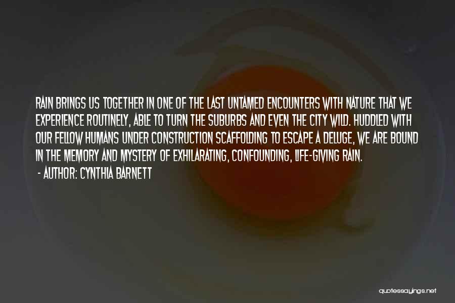 Cynthia Barnett Quotes: Rain Brings Us Together In One Of The Last Untamed Encounters With Nature That We Experience Routinely, Able To Turn