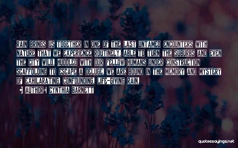 Cynthia Barnett Quotes: Rain Brings Us Together In One Of The Last Untamed Encounters With Nature That We Experience Routinely, Able To Turn