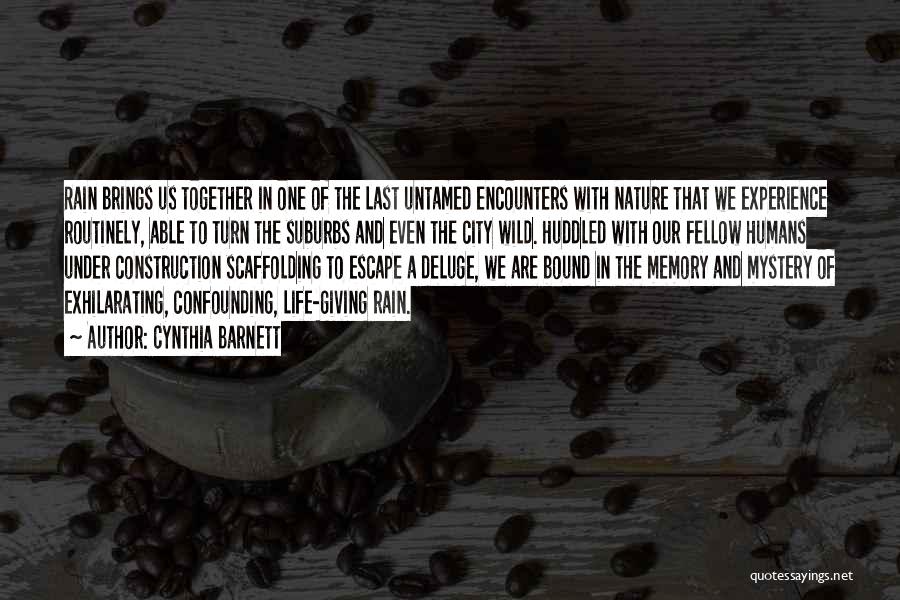 Cynthia Barnett Quotes: Rain Brings Us Together In One Of The Last Untamed Encounters With Nature That We Experience Routinely, Able To Turn