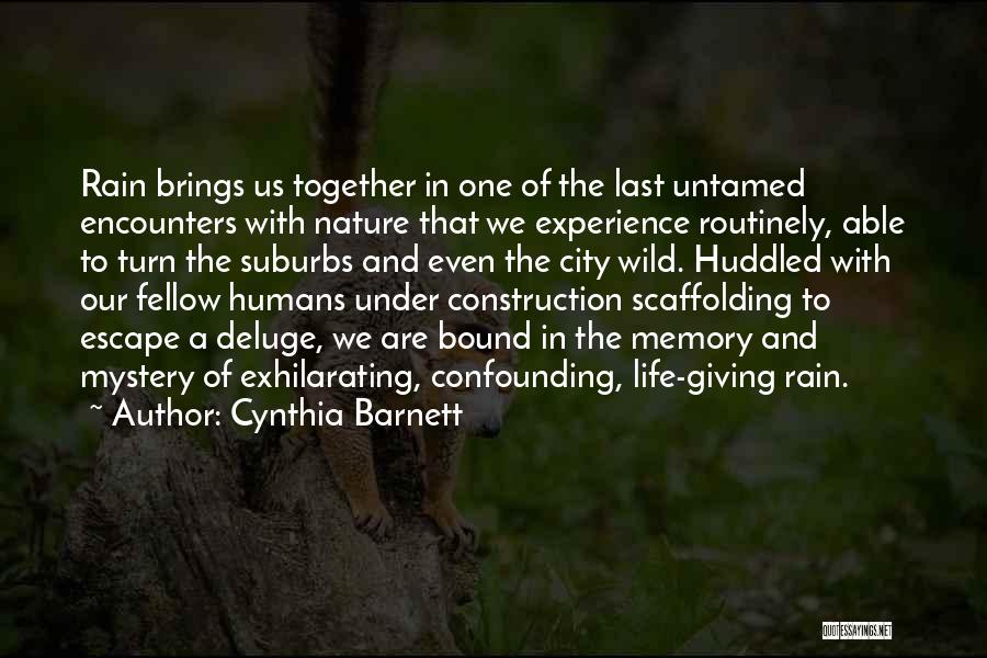 Cynthia Barnett Quotes: Rain Brings Us Together In One Of The Last Untamed Encounters With Nature That We Experience Routinely, Able To Turn