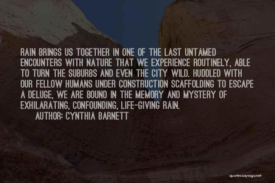 Cynthia Barnett Quotes: Rain Brings Us Together In One Of The Last Untamed Encounters With Nature That We Experience Routinely, Able To Turn