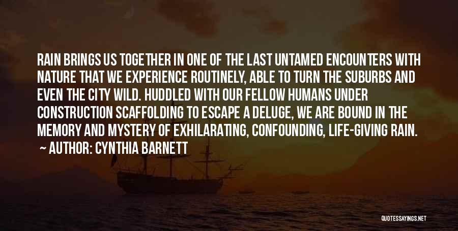 Cynthia Barnett Quotes: Rain Brings Us Together In One Of The Last Untamed Encounters With Nature That We Experience Routinely, Able To Turn