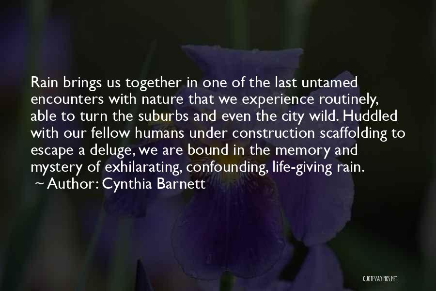Cynthia Barnett Quotes: Rain Brings Us Together In One Of The Last Untamed Encounters With Nature That We Experience Routinely, Able To Turn