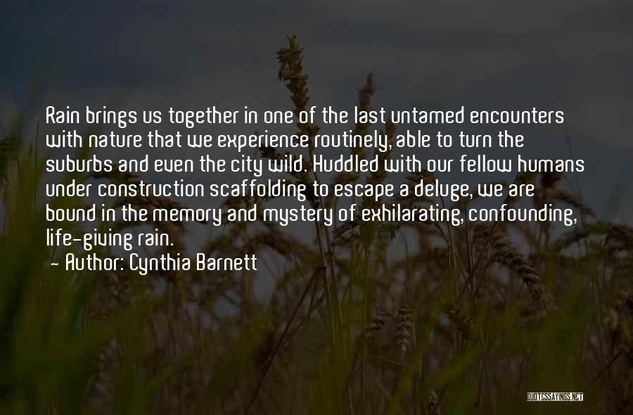 Cynthia Barnett Quotes: Rain Brings Us Together In One Of The Last Untamed Encounters With Nature That We Experience Routinely, Able To Turn