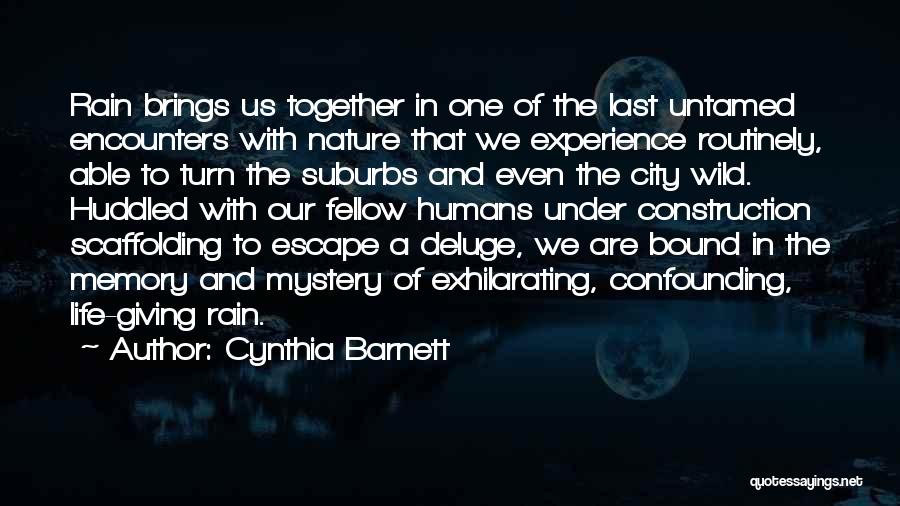 Cynthia Barnett Quotes: Rain Brings Us Together In One Of The Last Untamed Encounters With Nature That We Experience Routinely, Able To Turn