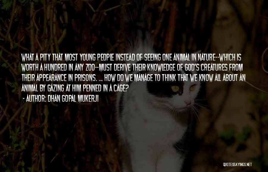 Dhan Gopal Mukerji Quotes: What A Pity That Most Young People Instead Of Seeing One Animal In Nature--which Is Worth A Hundred In Any