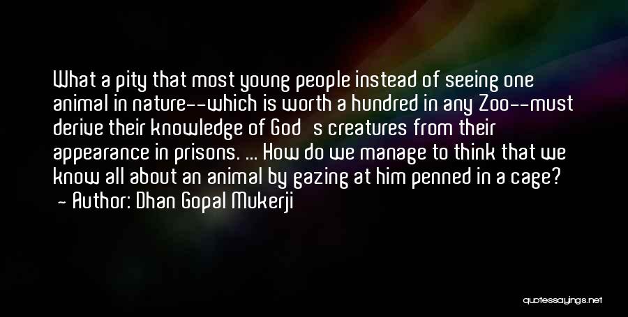 Dhan Gopal Mukerji Quotes: What A Pity That Most Young People Instead Of Seeing One Animal In Nature--which Is Worth A Hundred In Any