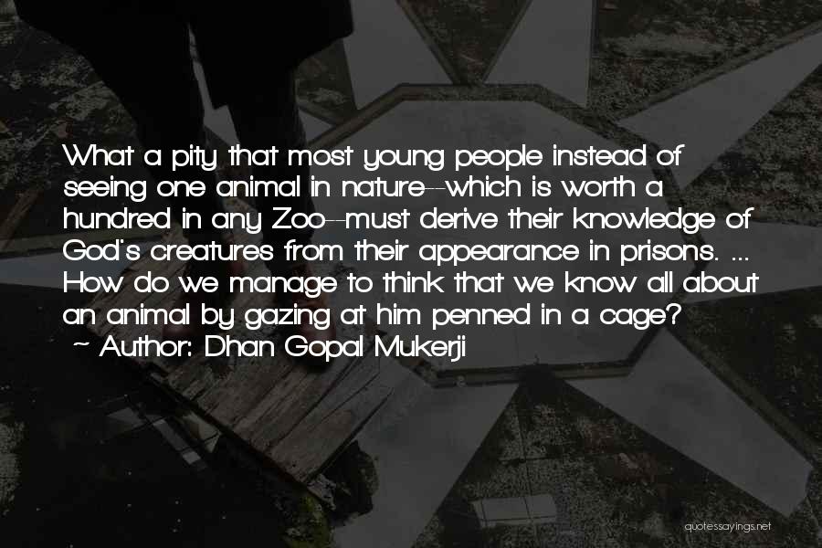 Dhan Gopal Mukerji Quotes: What A Pity That Most Young People Instead Of Seeing One Animal In Nature--which Is Worth A Hundred In Any