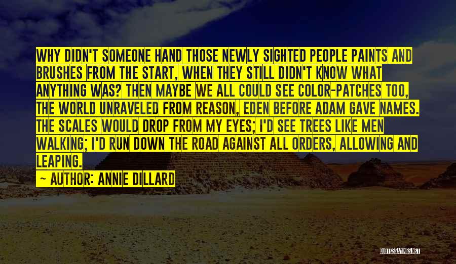 Annie Dillard Quotes: Why Didn't Someone Hand Those Newly Sighted People Paints And Brushes From The Start, When They Still Didn't Know What