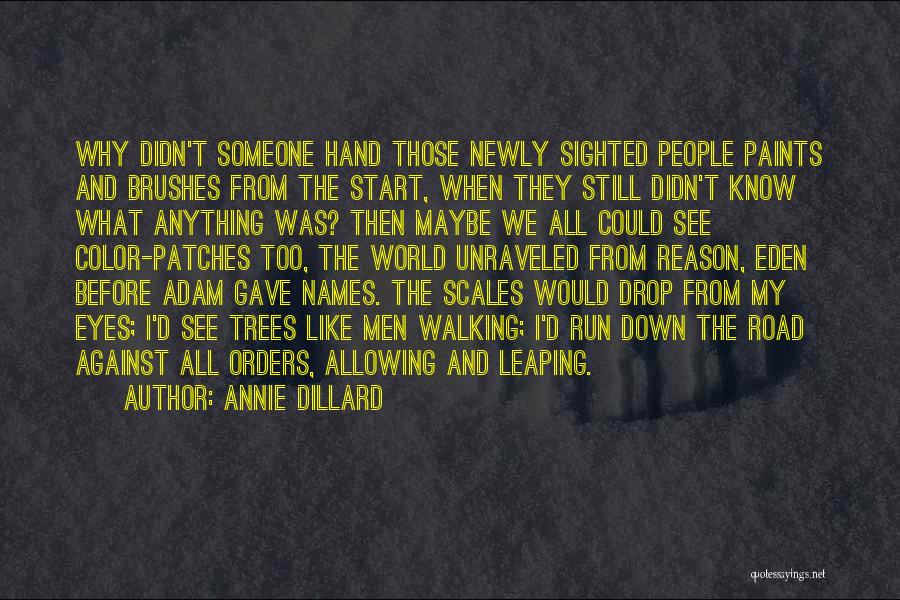 Annie Dillard Quotes: Why Didn't Someone Hand Those Newly Sighted People Paints And Brushes From The Start, When They Still Didn't Know What