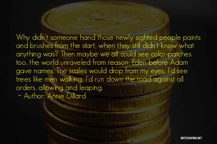 Annie Dillard Quotes: Why Didn't Someone Hand Those Newly Sighted People Paints And Brushes From The Start, When They Still Didn't Know What