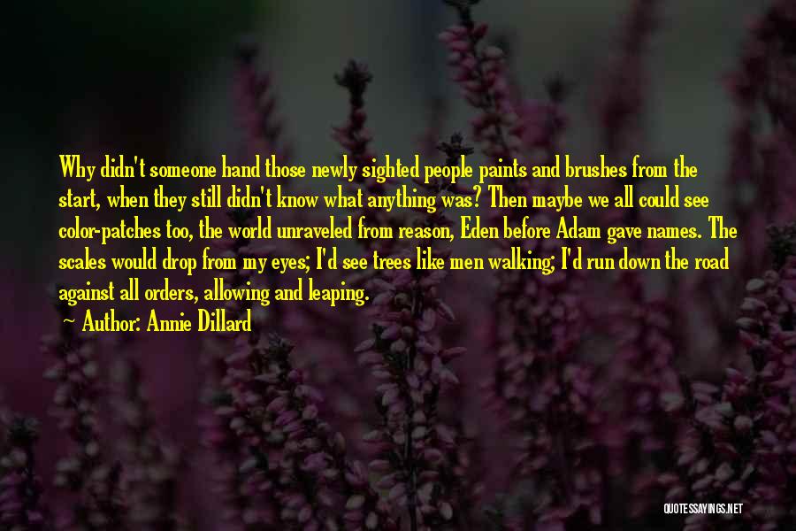 Annie Dillard Quotes: Why Didn't Someone Hand Those Newly Sighted People Paints And Brushes From The Start, When They Still Didn't Know What