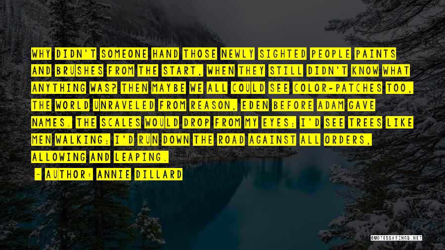 Annie Dillard Quotes: Why Didn't Someone Hand Those Newly Sighted People Paints And Brushes From The Start, When They Still Didn't Know What