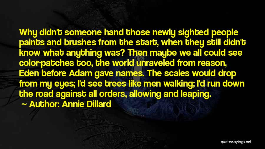 Annie Dillard Quotes: Why Didn't Someone Hand Those Newly Sighted People Paints And Brushes From The Start, When They Still Didn't Know What