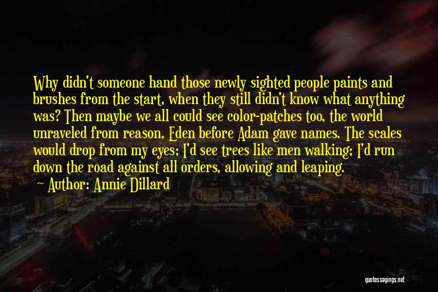 Annie Dillard Quotes: Why Didn't Someone Hand Those Newly Sighted People Paints And Brushes From The Start, When They Still Didn't Know What
