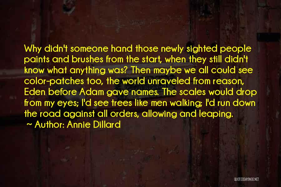 Annie Dillard Quotes: Why Didn't Someone Hand Those Newly Sighted People Paints And Brushes From The Start, When They Still Didn't Know What