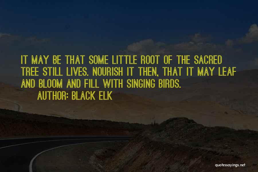 Black Elk Quotes: It May Be That Some Little Root Of The Sacred Tree Still Lives. Nourish It Then, That It May Leaf