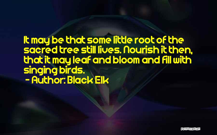 Black Elk Quotes: It May Be That Some Little Root Of The Sacred Tree Still Lives. Nourish It Then, That It May Leaf