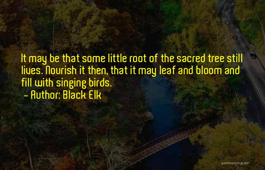 Black Elk Quotes: It May Be That Some Little Root Of The Sacred Tree Still Lives. Nourish It Then, That It May Leaf