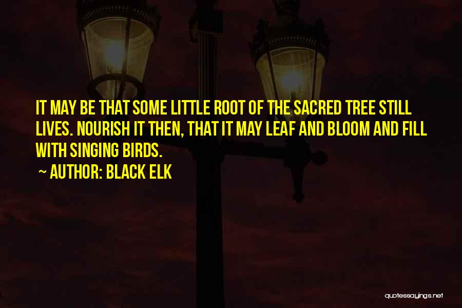 Black Elk Quotes: It May Be That Some Little Root Of The Sacred Tree Still Lives. Nourish It Then, That It May Leaf