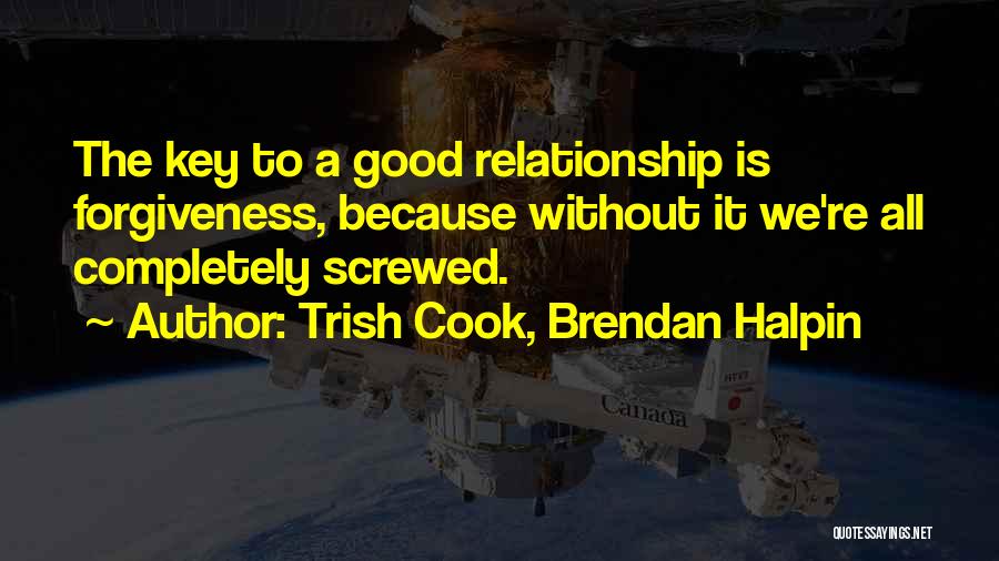 Trish Cook, Brendan Halpin Quotes: The Key To A Good Relationship Is Forgiveness, Because Without It We're All Completely Screwed.