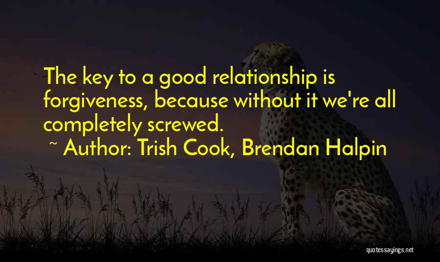 Trish Cook, Brendan Halpin Quotes: The Key To A Good Relationship Is Forgiveness, Because Without It We're All Completely Screwed.