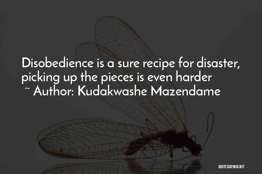 Kudakwashe Mazendame Quotes: Disobedience Is A Sure Recipe For Disaster, Picking Up The Pieces Is Even Harder