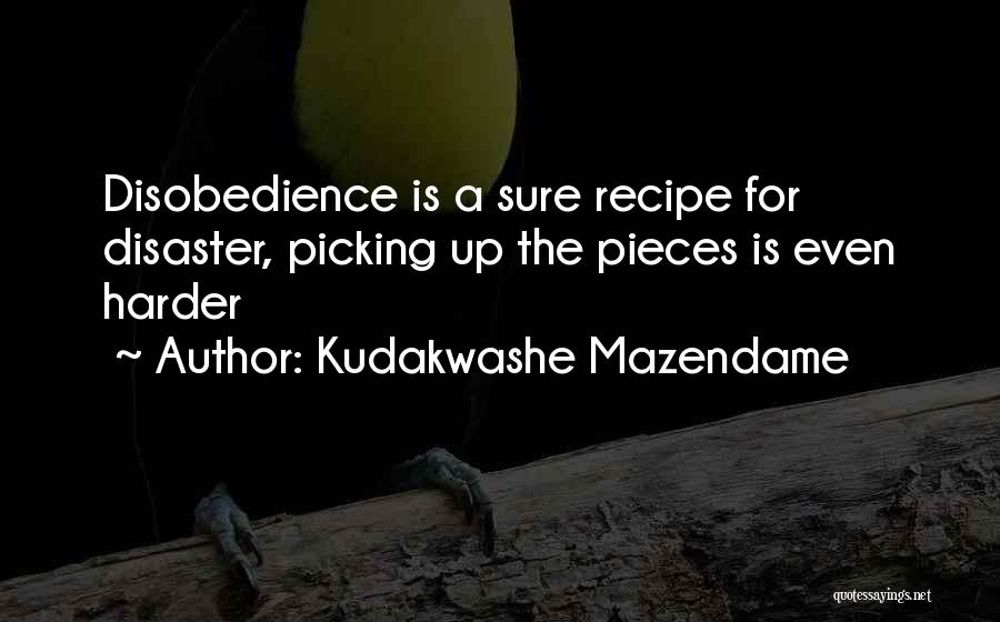Kudakwashe Mazendame Quotes: Disobedience Is A Sure Recipe For Disaster, Picking Up The Pieces Is Even Harder