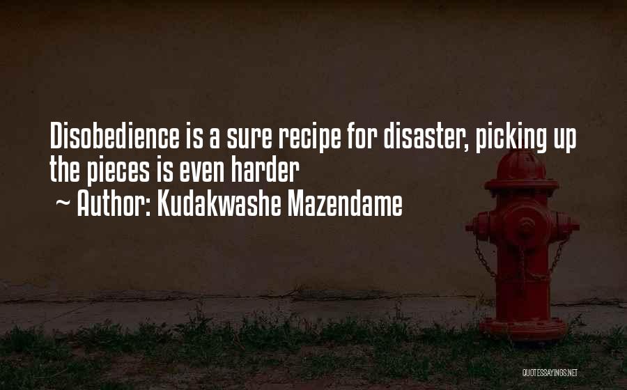 Kudakwashe Mazendame Quotes: Disobedience Is A Sure Recipe For Disaster, Picking Up The Pieces Is Even Harder