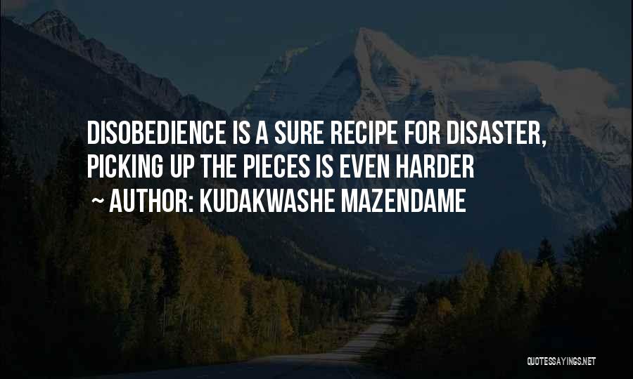 Kudakwashe Mazendame Quotes: Disobedience Is A Sure Recipe For Disaster, Picking Up The Pieces Is Even Harder