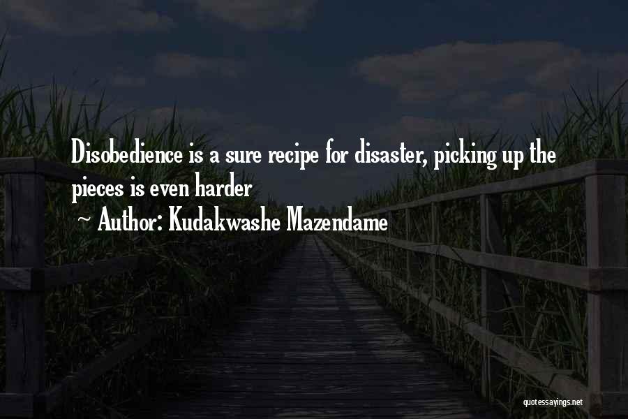 Kudakwashe Mazendame Quotes: Disobedience Is A Sure Recipe For Disaster, Picking Up The Pieces Is Even Harder