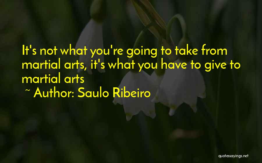 Saulo Ribeiro Quotes: It's Not What You're Going To Take From Martial Arts, It's What You Have To Give To Martial Arts