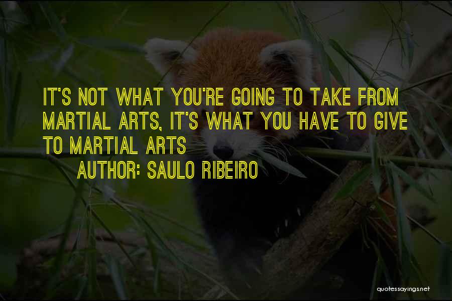 Saulo Ribeiro Quotes: It's Not What You're Going To Take From Martial Arts, It's What You Have To Give To Martial Arts