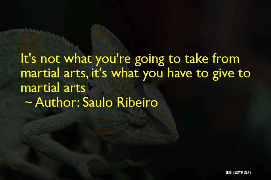 Saulo Ribeiro Quotes: It's Not What You're Going To Take From Martial Arts, It's What You Have To Give To Martial Arts