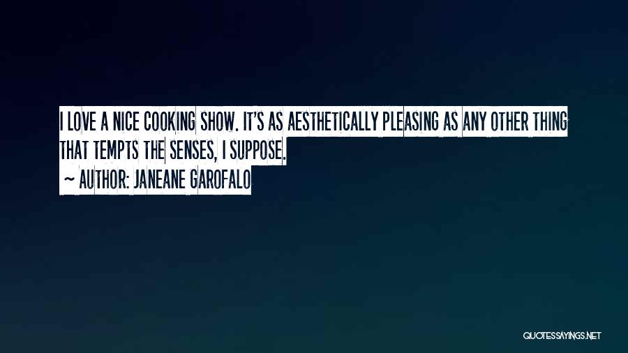 Janeane Garofalo Quotes: I Love A Nice Cooking Show. It's As Aesthetically Pleasing As Any Other Thing That Tempts The Senses, I Suppose.